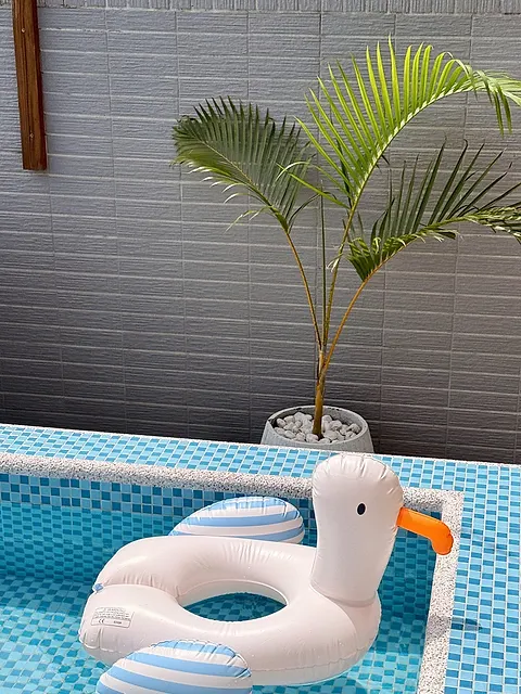戲水池邊緣的鵝形浮具與棕櫚盆栽特寫